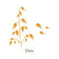 Oats cereals grain. Vector illustration isolated on white background Royalty Free Stock Photo