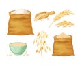 Oats. A collection with the image of an ear of oats, oats in a bag, in a wooden scoop and oatmeal in a cup. A bag of