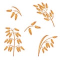 Oats collection set. Vector