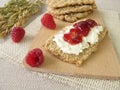 Oats crispbread with raspberry jam Royalty Free Stock Photo