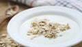 Oats with fresh yogurt Royalty Free Stock Photo