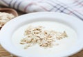 Oats with fresh yogurt Royalty Free Stock Photo