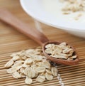 Oats with fresh yogurt Royalty Free Stock Photo