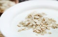 Oats with fresh yogurt Royalty Free Stock Photo