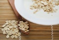 Oats with fresh yogurt Royalty Free Stock Photo