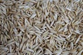 Oats grains close up, natural texture background, top view Royalty Free Stock Photo