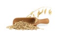Oats grains with husk in wooden scoop over white Royalty Free Stock Photo