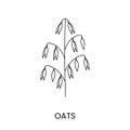 Oats line icon in vector, illustration of a cereal plant.