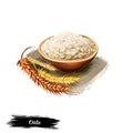 Oats porridge and cereal grains isolated on white background digital art illustration. Oatmeal flakes in bow and dry wheat plants