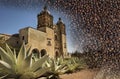 Drink and food Mexico, Oaxaca coffee beans Royalty Free Stock Photo