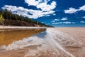 Ob River. Spring landscape