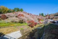 Obara, Aichi, Japan - November 22, 2016 : Unidentified tourist v