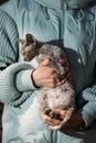 Obedient Devon Rex Cat With Brown Grey Fur Color Sit On Hands. Curious Playful Funny Cute Amazing Devon Rex Cat. Cats