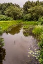 Obedska pond Special nature reserve along Sava river in Serbia