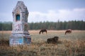 obelisk in the field against the background of grazing horses