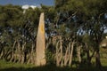 An obelisk at steale field in Axum, ethiopia Royalty Free Stock Photo