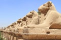 Karnak Temple Royalty Free Stock Photo