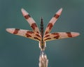 Obelisking Halloween Pennant