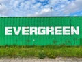 Closeup of one old isolated green evergreen marine container on grass against blue sky with clouds