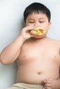 Obese fat boy child eat chicken hamburger Royalty Free Stock Photo