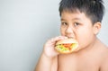 Obese fat boy child eat chicken hamburger Royalty Free Stock Photo