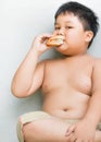 Obese fat boy child eat chicken hamburger Royalty Free Stock Photo