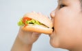 Obese fat boy child eat chicken hamburger Royalty Free Stock Photo