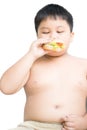 Obese fat boy child eat chicken hamburger isolated Royalty Free Stock Photo