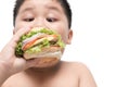 Obese fat boy eat hamburger. Royalty Free Stock Photo