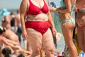 Obese woman in swimsuit. Royalty Free Stock Photo