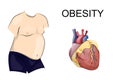 Obesity. body and heart