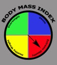 Obesity body mass index