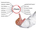 Obesity - Causes and Effects