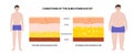 Obesity fat level