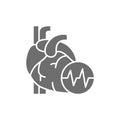 Obesity heart, visceral fat, heart attack grey icon.