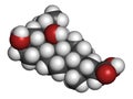 Obeticholic acid liver disease drug molecule. Agonist of farnesoid x receptor (FXR). Atoms are represented as spheres with