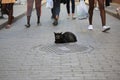 Obispo Street. Lying cat and walking people, close-up Royalty Free Stock Photo