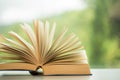 Object education green nature background with stack of ancient books or old bible, open paper book on wooden table with copy space Royalty Free Stock Photo