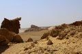 Fossils in wadi al-hitan, whale valley at al fayoum in Egypt