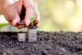 Putting coins stacked and seedlings on top. While a man`s hand are sorted coins. Royalty Free Stock Photo