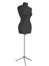 Object on white background, object, mannequin for seamstresses. Vector Royalty Free Stock Photo