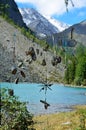 The objects of ancient cult in the clearing of the Idols on the shores of lake Shavlinskoye. Mountain Altai, Russia