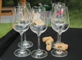 Winery still life - empty wine glasses prepared for wine tasting and cork Royalty Free Stock Photo