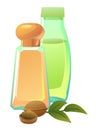 Objects natural Walnut oils. Still life. Extracted from nuts and plant seeds. Ecologically clean natural food. Product