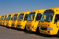 An oblique perspective of 8 yellow Arabic school busses Royalty Free Stock Photo