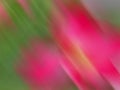 Oblique pink blurred Movement Color Background Abstract
