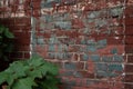 Oblique view of old brick wall with peeling paint area in blue and light red, creative copy space Royalty Free Stock Photo