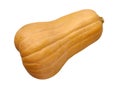 Oblong Butternut pumpkin isolated on a white background Royalty Free Stock Photo