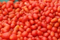 Oblong Cherry tomatoes, Solanum lycopersicum