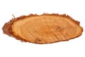 Oblong wood slice cross section rings of tree, Juniper texture,